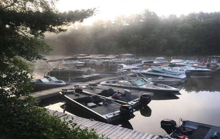 Misty morning at the marina